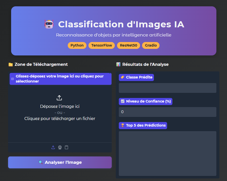 Aperçu interface Gradio